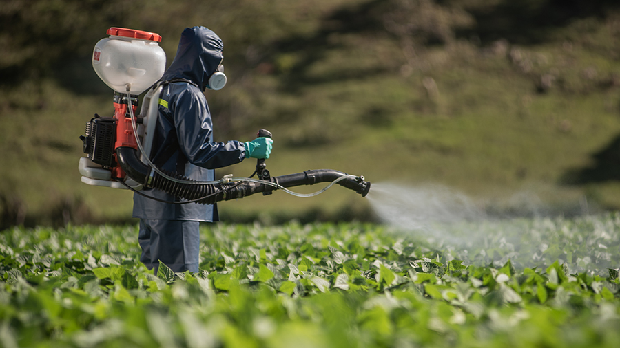 Fumigación Fitosanitaria